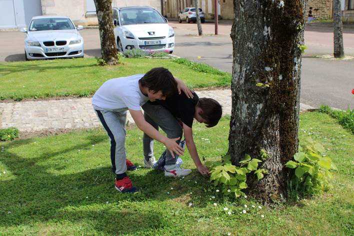 Une image contenant herbe, extrieur, arbre, garon

Description gnre automatiquement